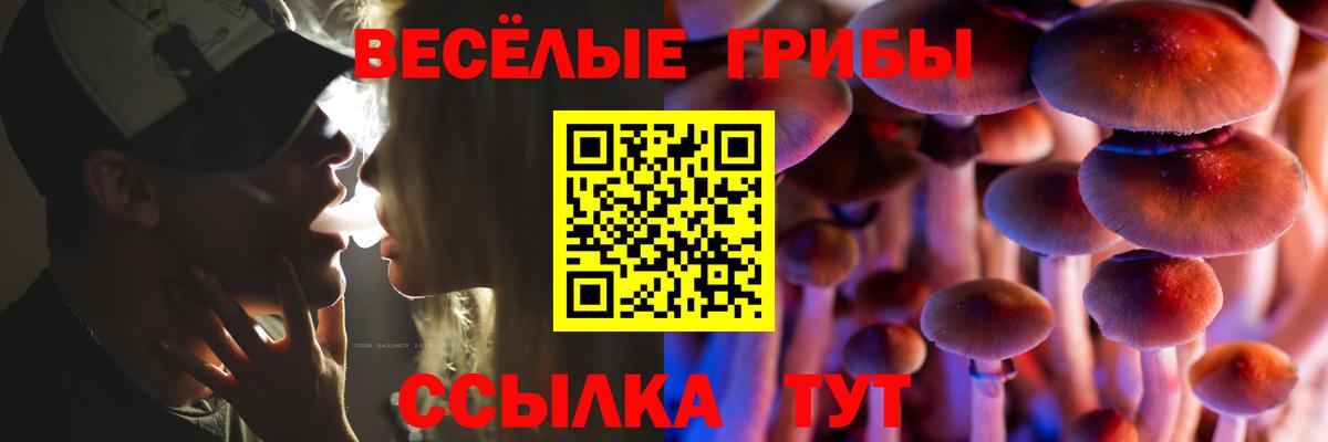 Псилоцибиновые грибы прущие грибы  Псилоцибиновые грибы мицелий  где купить наркотик  Печора  Вход с VPN 