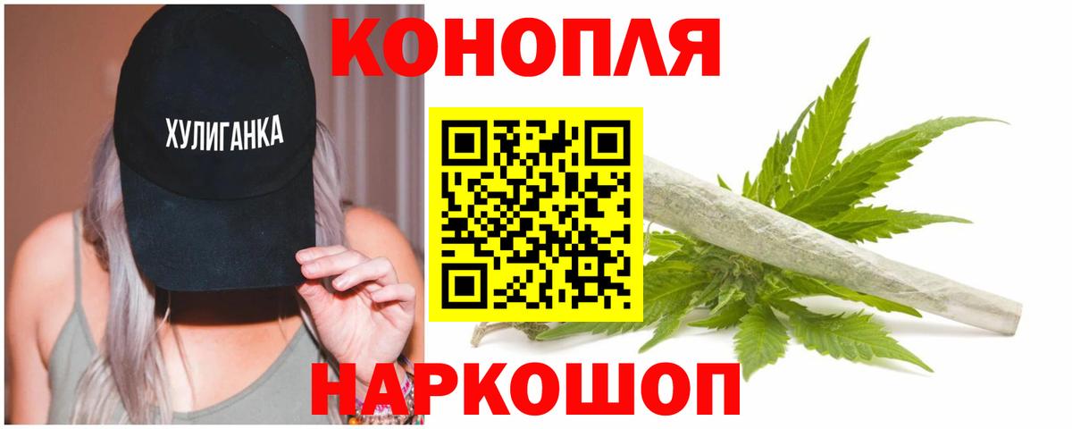 Каннабис планчик Печора